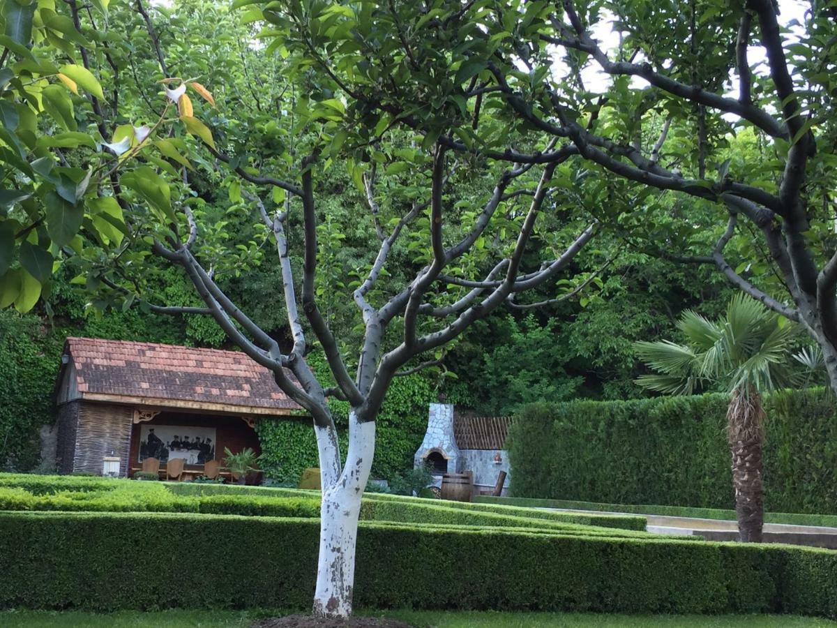 Aragvi Valley Villa Tsitelsopeli Luaran gambar